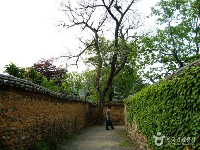 Dorf Namsa Yedamchon (남사예담촌)