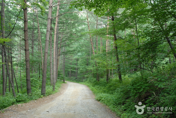 Berg Cheongoksan (청옥산)