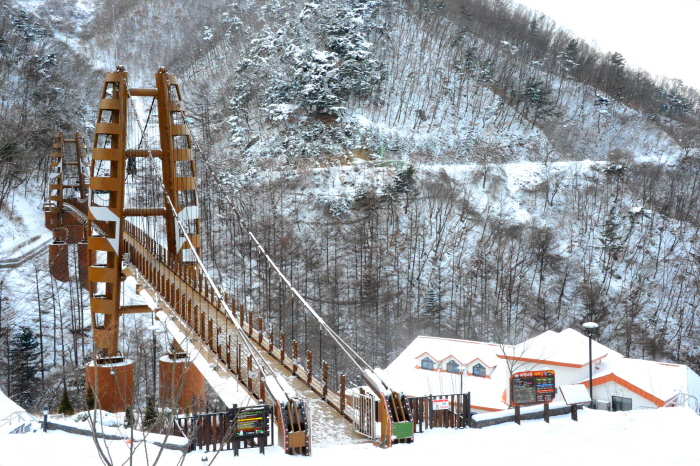 曽坪 座亀山クルムタリ&座亀山の森 瞑想の家(증평 좌구산 구름다리 & 좌구산 숲 명상의 집) 曽坪 座亀山クルムタリ&座亀山の森 瞑想の家(증평 좌구산 구름다리 & 좌구산 숲 명상의 집)