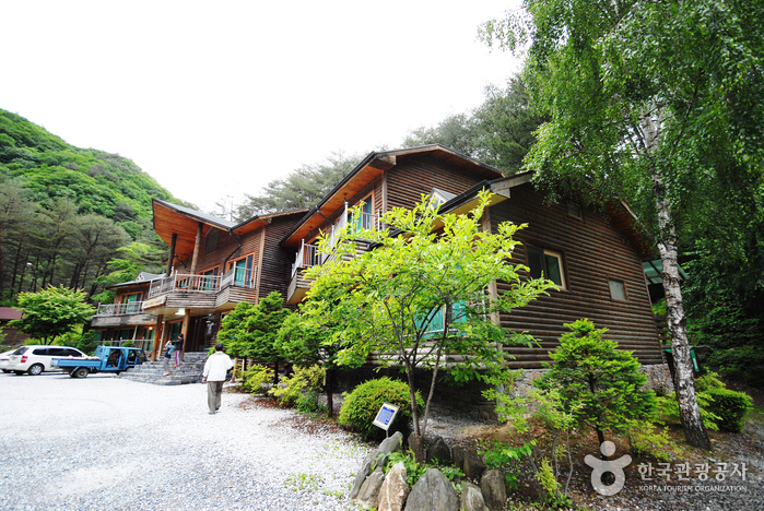 国立加里王山自然休養林（국립 가리왕산자연휴양림）