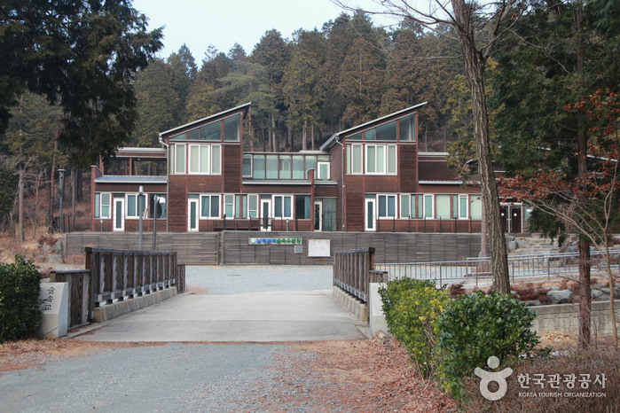 国立南海ヒノキ自然休養林（국립 남해편백자연휴양림）