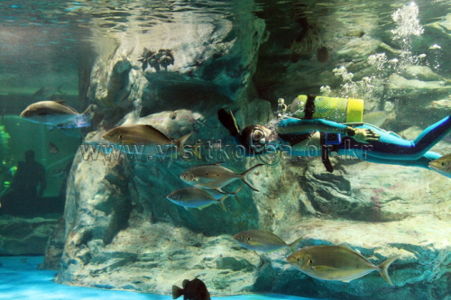 アクアプラネット63（아쿠아플라넷 63）