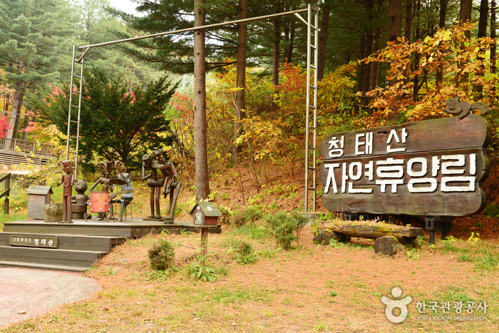 国立青太山自然休養林（국립 청태산자연휴양림）