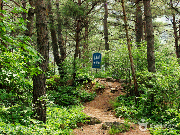 没雲台(旌善)(몰운대(정선)) 没雲台(旌善)(몰운대(정선))