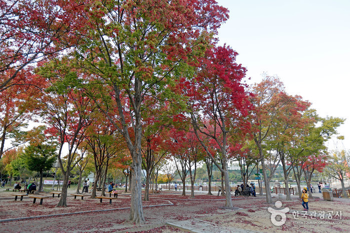 徳津公園（덕진공원）