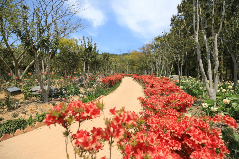 チョンサ島盆栽公園（천사섬 분재공원）