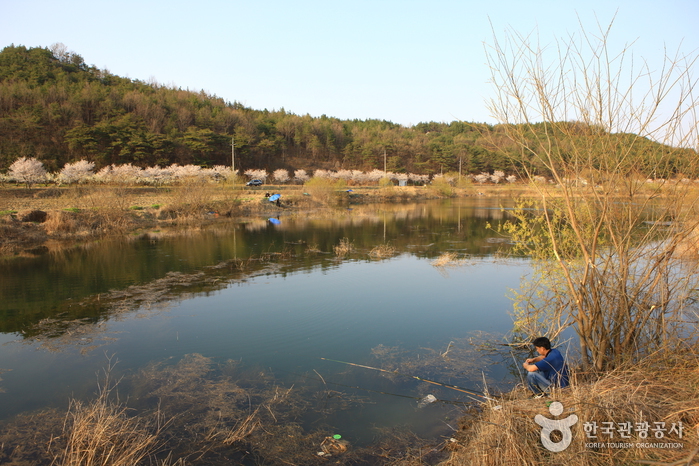 개천지와 조성지