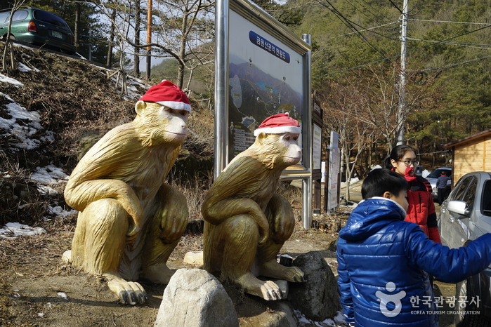 거창 황금원숭이마을