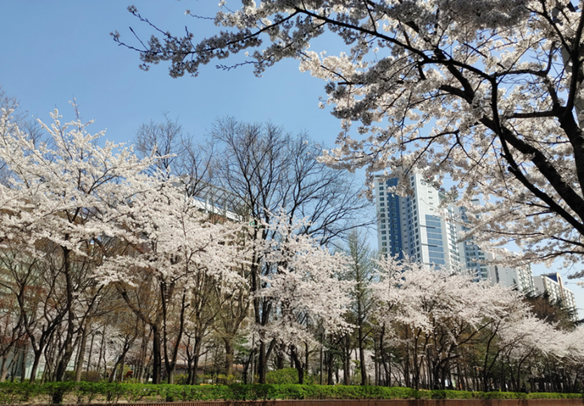 거리공원