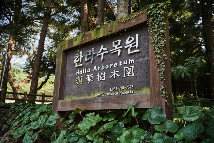 Дендрарий Халла (한라수목원) Дендрарий Халла (한라수목원)