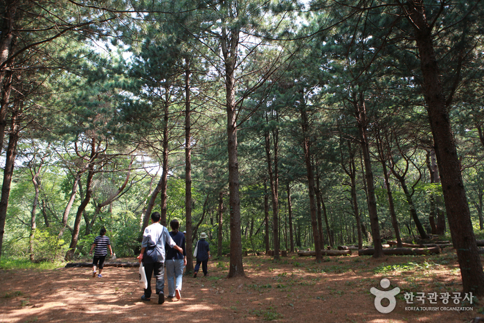 Горы Чхонгесан (청계산) Горы Чхонгесан (청계산)