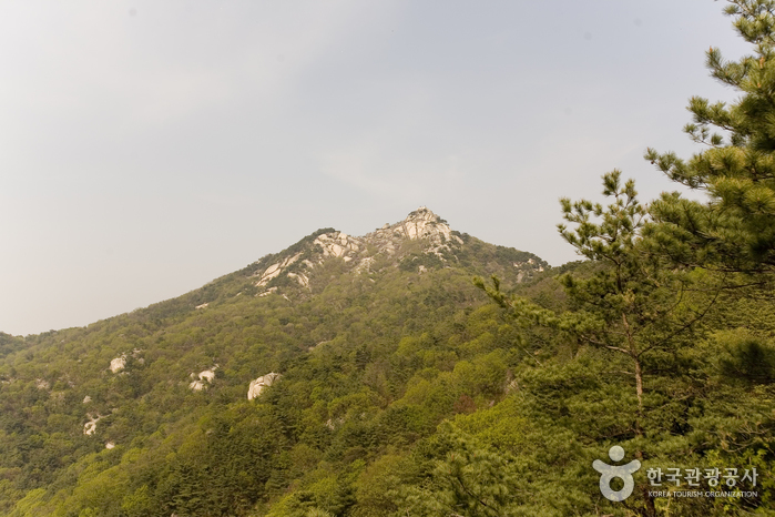 Горы Пурамсан (불암산) Горы Пурамсан (불암산)