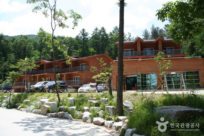 Bosque Recreativo Nacional del Monte Yumyeongsan (국립 유명산자연휴양림) Bosque Recreativo Nacional del Monte Yumyeongsan (국립 유명산자연휴양림)