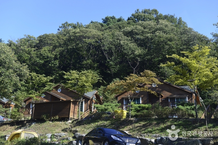 Bosque Recreativo de Yongin (용인자연휴양림)