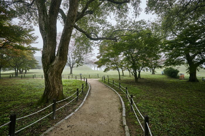 Bosque Gyerim de Gyeongju (경주 계림)