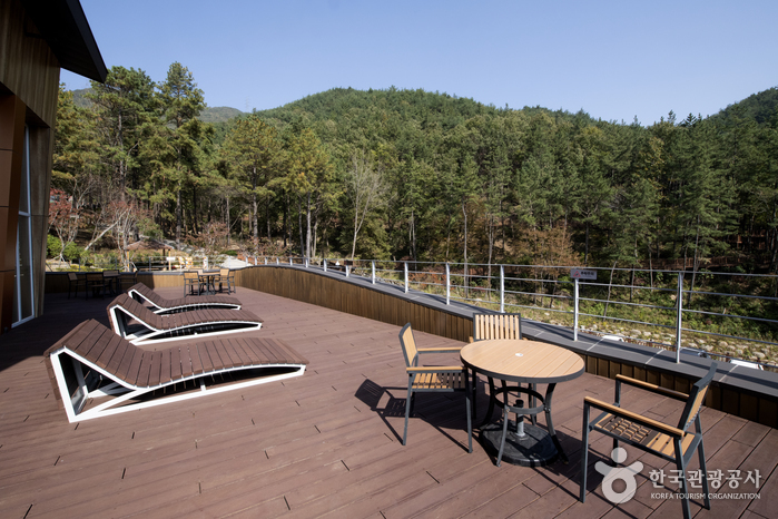 Bosque Recreativo del Monte Baegunsan (백운산자연휴양림) Bosque Recreativo del Monte Baegunsan (백운산자연휴양림)