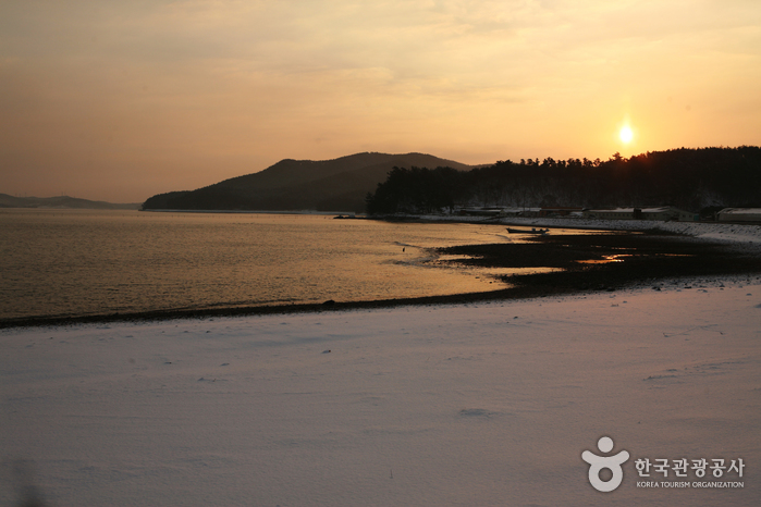 Bahía Cheonsuman (Área de Observación de Aves) (천수만(철새도래지)) Bahía Cheonsuman (Área de Observación de Aves) (천수만(철새도래지))