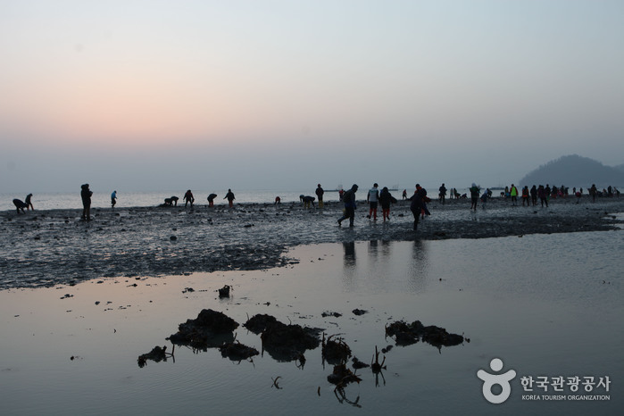Camino del Milagro de Moisés de Jindo (진도 신비의 바닷길)