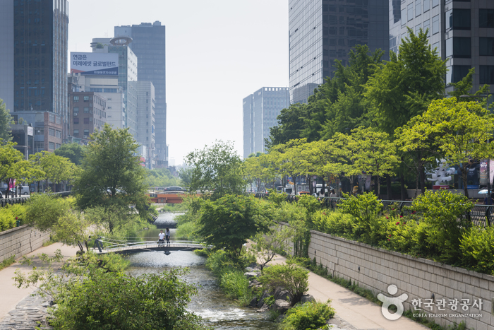Arroyo Cheonggyecheon (청계천)